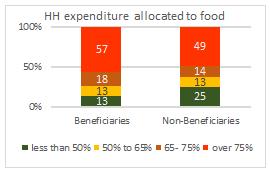 Page 5 Household Expenditure (income proxy) The majority of beneficiary households (57%) spent more than 75% of their income