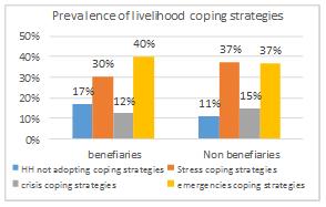 The index and thus the severity and/or the frequency of the use of the coping strategies is higher among nonbeneficiaries than beneficiaries and has increased compared with
