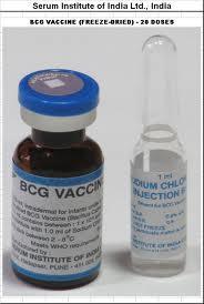 Principle Freeze dried BCG Vaccine is a dried preparation of live bacteria.
