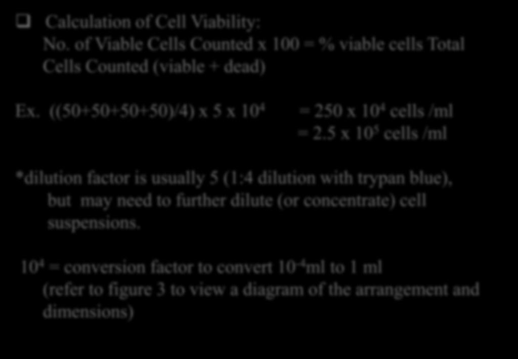 Calculation of Cell Viability: No. of Viable Cells Counted x 100 = % viable cells Total Cells Counted (viable + dead) Ex. ((50+50+50+50)/4) x 5 x 10 4 = 250 x 10 4 cells /ml = 2.