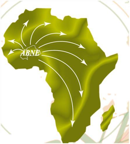 NEPAD-ABNE Role in Africa VISION: An African-led programme that provides world class biosafety regulatory support services towards Africa s socioeconomic development MISSION: To provide support for