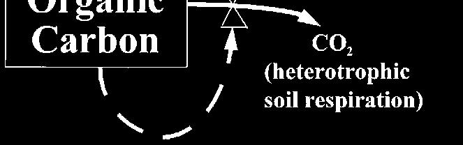 changes in temperature and moisture Changes in soil microbial