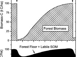 Changes in SOM after harvest -- Soil respiration increases after harvest assumption here is that labile C is lost more readily -- Several studies have