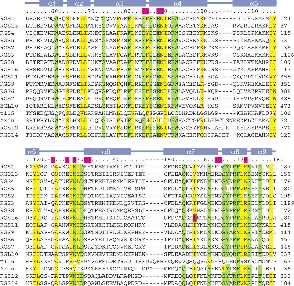 Fig. S1. Sequence alignment of RGS domains highlighting RGS16-G o binding determinants. Alignment was performed in CLUSTALW and modified manually (7).