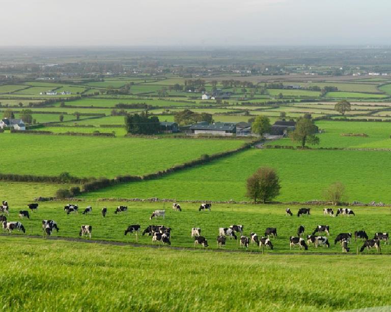 Grassland management Extended grazing Grazed grass is of a higher quality & more digestible leading to a reduction in