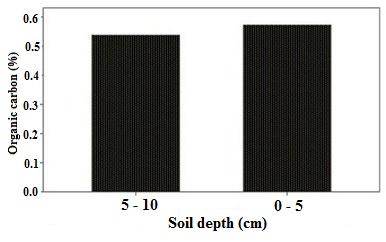 centimeters) has not significant effect on soil organic matter (Figure 3). The result of statistical analysis showed that there wasn t significant difference among treatments (Table 1). Demir et al.