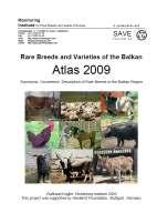 Regional project example: Balkan Network for Agrobiodiversity Active since 2004 Phase I: Model Project, Search Tours, Workshop Phase II: