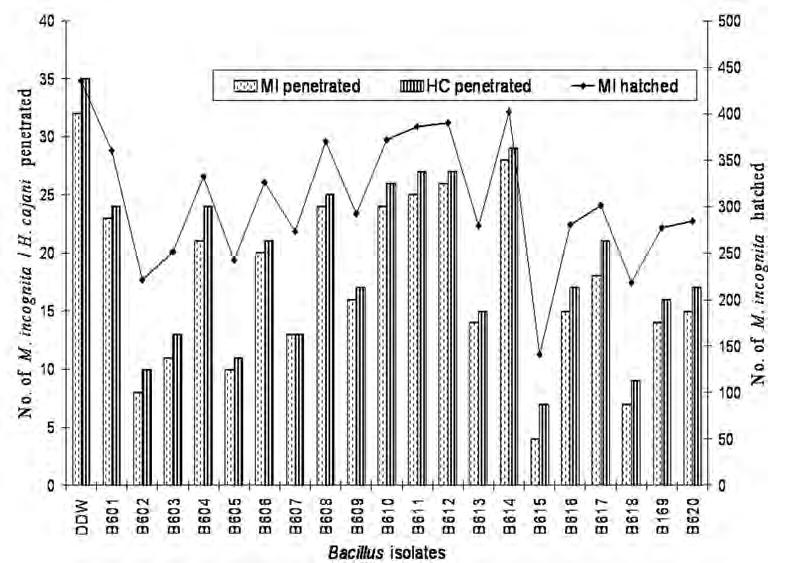 182 Bacillus isolates for biocontrol Journal of Plant Pathology (2007), 89 (2), 179-183 Table 4.