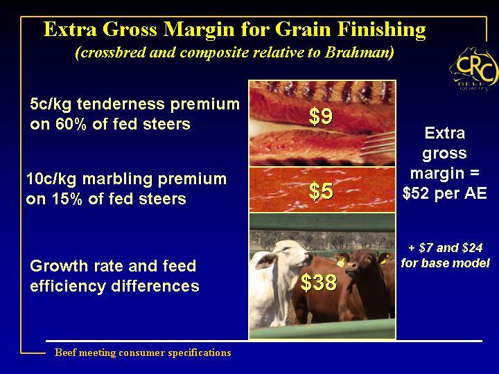 Under a grain-finishing scenario, the extra gross margin at the individual herd level of crossbred and composite steers (i.e. in addition to the $7 and $24 per AE gross margin from the base model) was $38 per AE for advantages in growth rate and feed efficiency.