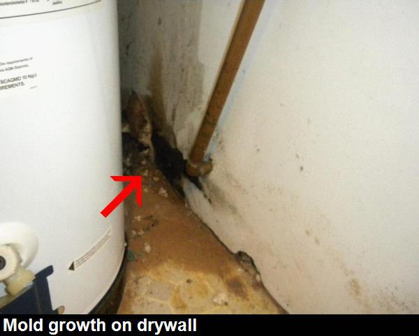 INTERIOR WALLS: MATERIAL & Drywall, Mold/mildew was observed in the following locations: laundry room near the water heater. See www.epa.gov/mold for more information.
