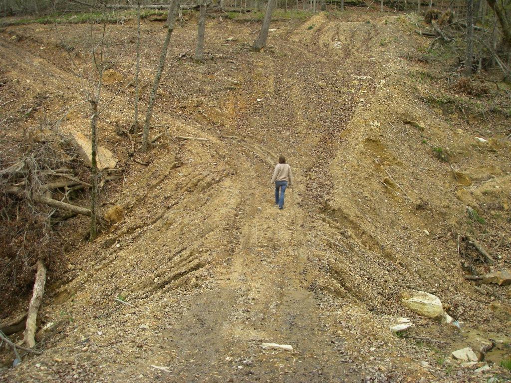 ote formation of gullies in slopes over creek. o sediment and erosion controls emplaced.