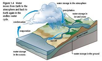 The Water Cycle The water cycle results from two common changes of state: evaporation and condensation. Evaporation is the change of state from a liquid to a gas.