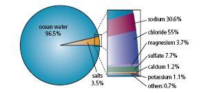What makes salt water salty? By far the most common material that is deposited into the ocean is sodium chloride, which is the chemical name for salt.