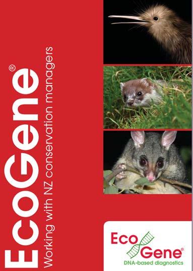 Introduction Species Identification Species Verification