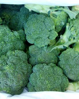 broccoli and were able to sell it immediately through their