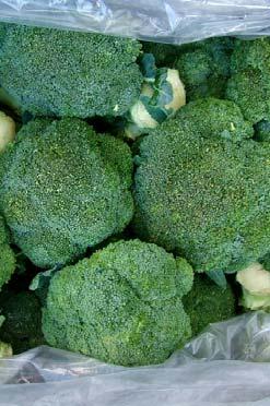 Outturn quality of broccoli from static trial packed in MA +