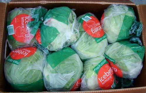 Table 6 - Quality grades of lettuce following shipping to Dubai in air and 2 days of shelf life Treatment Quality Butt colour Rots Internal quality Pink rib Air Plastic wrap 2.
