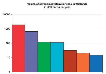 Many ecosystem services from