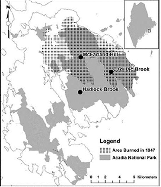 Background, Acadia National Park (ANP) Great Fires of 1947 No significant history of fire 1/3 of ANP burned Hardwoods regeneration Paired Watershed Study Figure 1.