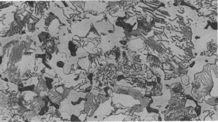 upon microstructure of FN-0205 atomized powder.