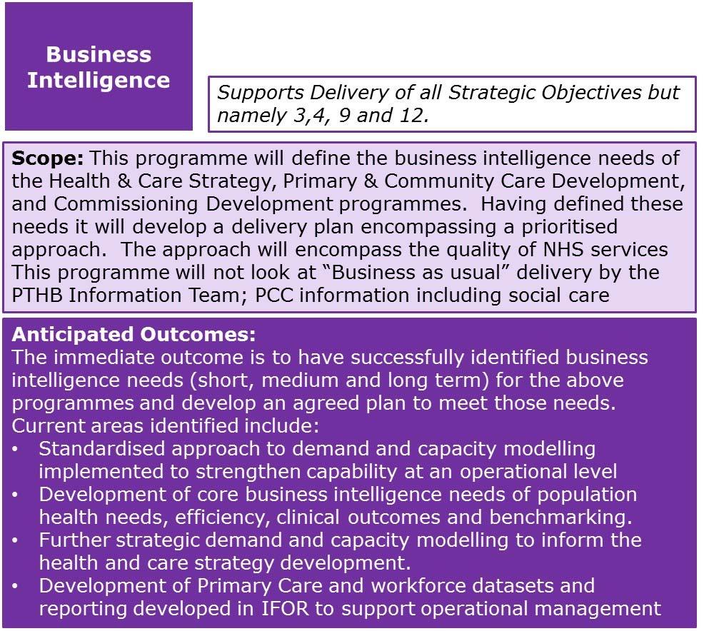 Business Intelligence Programme