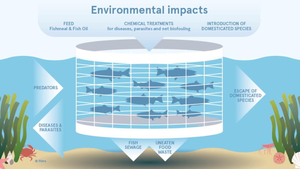 More holistic approach to understanding and analysing true environmental impacts from fish farms in Scotland Helping to reduce marine and freshwater pollution from the aquaculture industry Enable