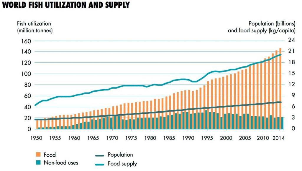 Figure 7: World Fish Utilization and Supply (FAO, 2016) Figures project population growth by almost 50% from 2000 to 2050, reaching 9.5billion people worldwide (Henchion et al., 2018).