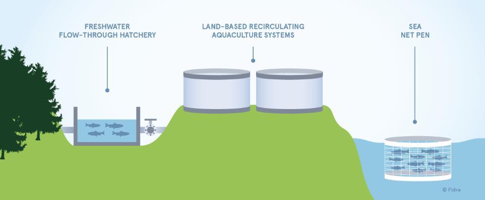2.7. Aquaculture Systems In developing countries, where cheap labour is available, the majority of aquaculture is carried out in ponds and fish-pots due to their simplicity and low energy consumption