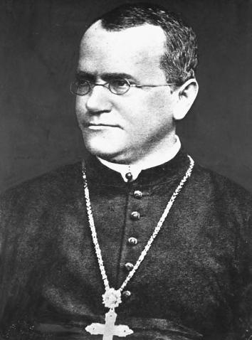 Gregor Mendel discovered the basic principles of genetics Mendel was the first scientist to combine data collection, analysis, and theory to understand