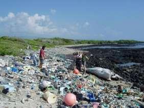 fuel based plastics impose adverse environmental impacts non-biodegradable;