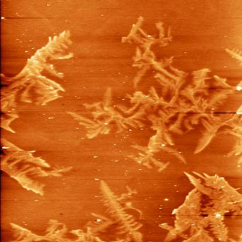 implanted Pt thin film sample has formed small L1o clusters near the surface with perpendicular magnetization.