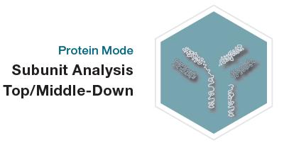 Subunit Analysis in Protein Mode on Q Exactive Plus LC-MS analysis of IdeS-digested, reduced Trastuzumab 9 7 3 1 Fc LC Fd 1 2 3 4 5 6 7 8 Time (min) Fc * 28+ * 92.