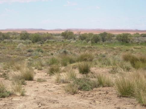isolation of fauna in remnant habitats Groundwater refugia