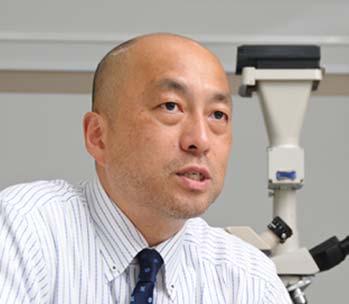 out of Asia." Haiwon Lee, Ph.D Co-director Masahiko Hara, Ph.