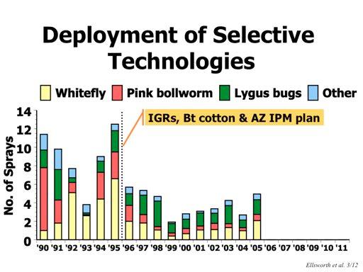 We had the opportunity to see from above the impacts of Lygus bug, stink bugs, and whiteflies on one trial, and the innovative incorporation of natural enemy information in whitefly control decisions