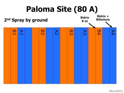 This time Bidrin (at 8 oz/a) was used on both strips but one strip (blue) got the addition of bifenthrin (Bifenture at the full rate, 6.4 oz). We stayed on pattern, alternating 10 acre plots.