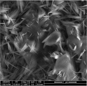 The SEM images for NiO nano particles is shown in Figure 2.