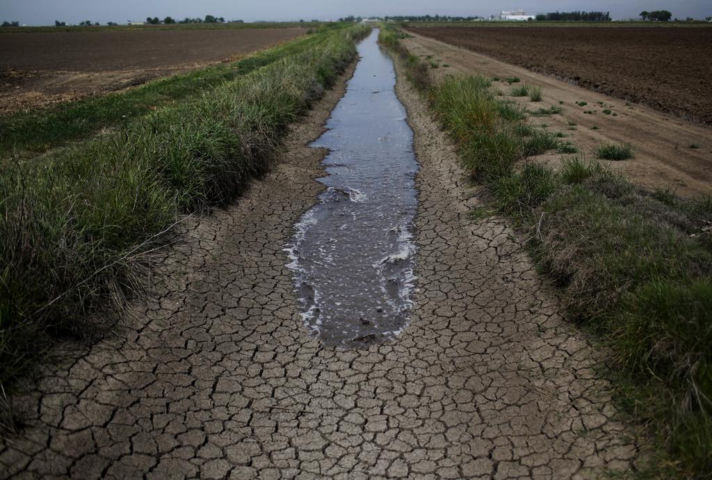 The Brown Effect California s Water Conservation Amidst a Record Drought Fall 2015 By Allison Hornstra GIS in