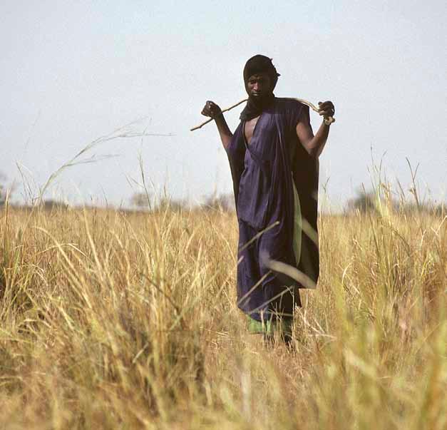 Livelihoods that depend on natural resources, such as this herder in the grasslands of Mali, are particularly vulnerable to changes in the climate UN Photo/Kay Muldoon with factors such as population