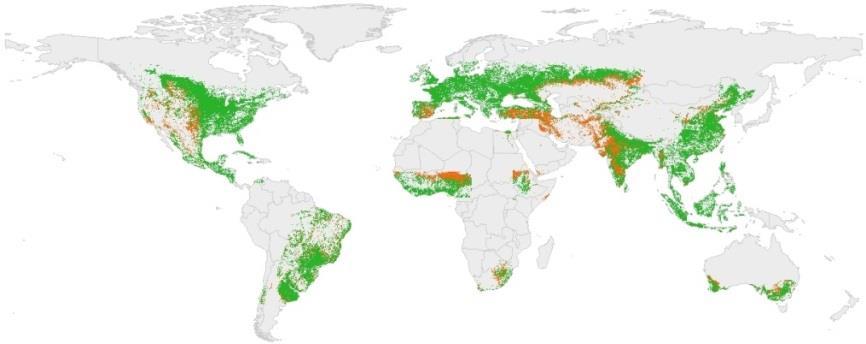 Food security early warning Cropped arable land fraction (CALF) represents the