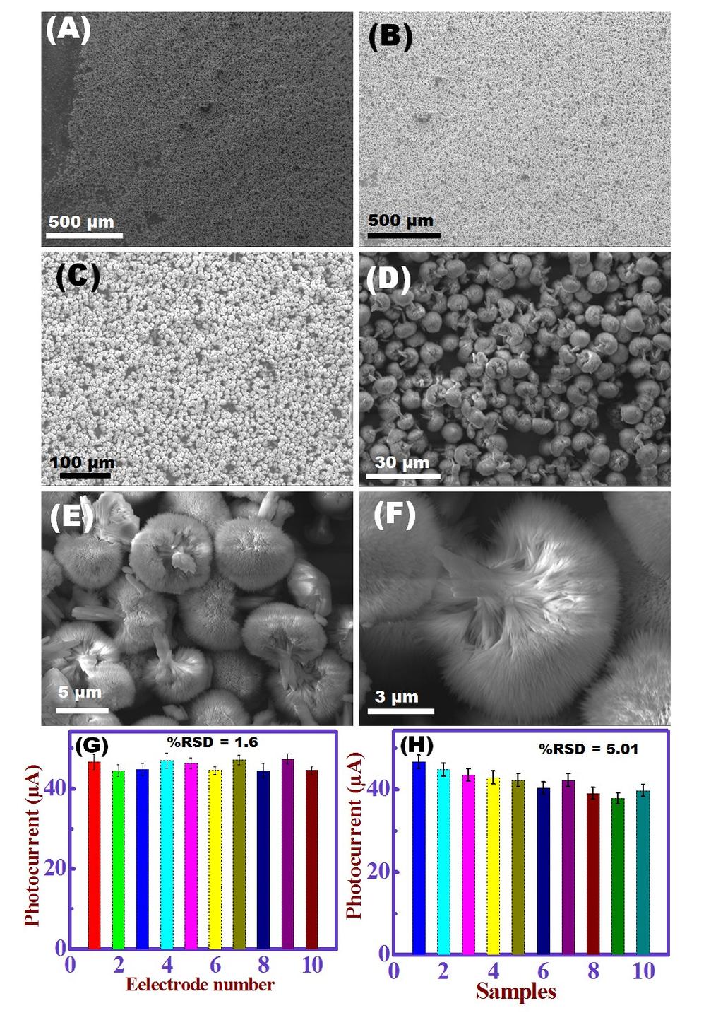 Figure S5. A-C) FE-SEM images of CN-SST at ITO glass substrate after 20 cyclic voltammograme cycles in 0.1 M PBS (ph 7.4) containing 0.5 mm DA.