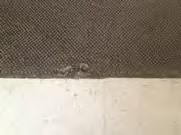 - Carpet seam damage in rooms 201 2 and 400 building.