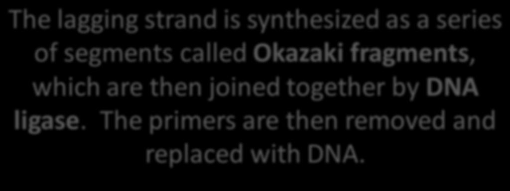 The lagging strand is synthesized as a series of segments called Okazaki fragments, which