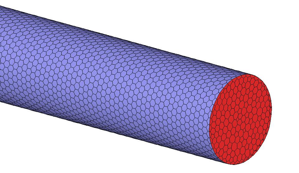 Figure 1. A plot of the computational mesh on the surface of the pipe showing polyhedral cell types. The pipe was discretized using 470 thousand polyhedral cells. Pipe length L = 5.