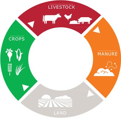 Animal productions in a sustainable circular biomass based economy Integrated livestock and cropland production Integrated cropland/livestock systems are the best to optimize human edible protein