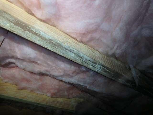 Click here for further information regarding common crawlspace