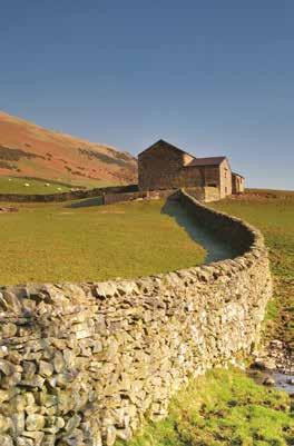 Farming is at the heart of all activity in the uplands.