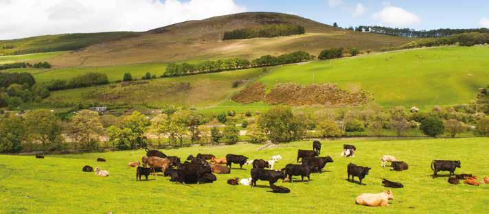 THE ENVIRONMENTAL BENEFITS OF FARMING IN THE S AND UPLANDS SOCIOECONOMIC BENEFITS DELIVERED BY FARMING IN THE S AND UPLANDS Hill and Upland farmers are central to both protecting and enhancing our