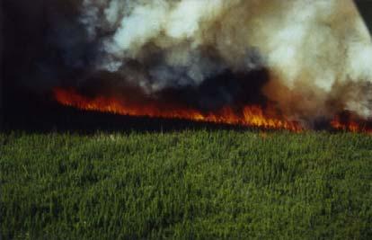 Wildfire Red Lake #7, 1986 Ignition May 21 - May 28 AM May 28 PM - May 29 PM May