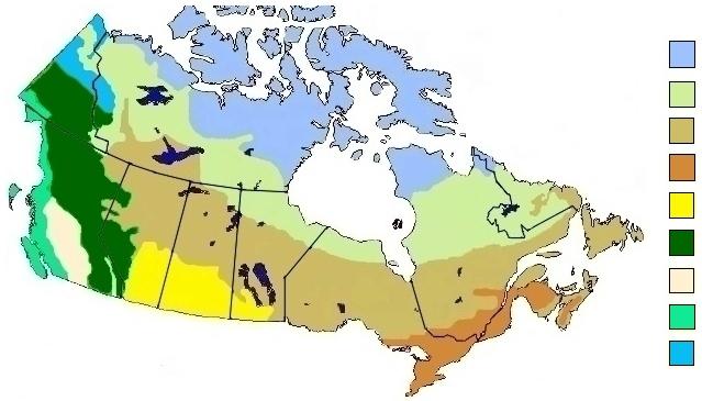 Fire regions Canadian Wildfires tundra open boreal forest closed boreal forest eastern temperate forest prairies Cordilleran forest high altitude tundra 8,000,000 7,000,000 area burned number of